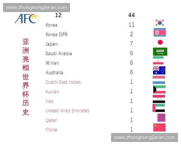 世界杯历史战绩回顾与各国球队表现全解析